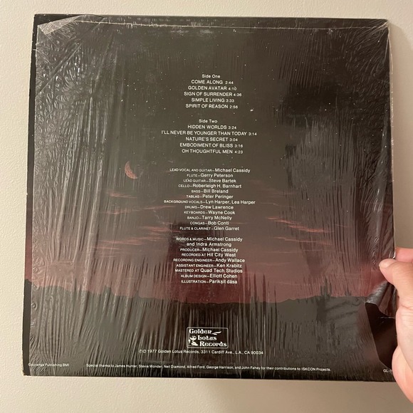 Michael Cassidy - Nature's Secret LP vintage vinyl record - Picture 2 of 4